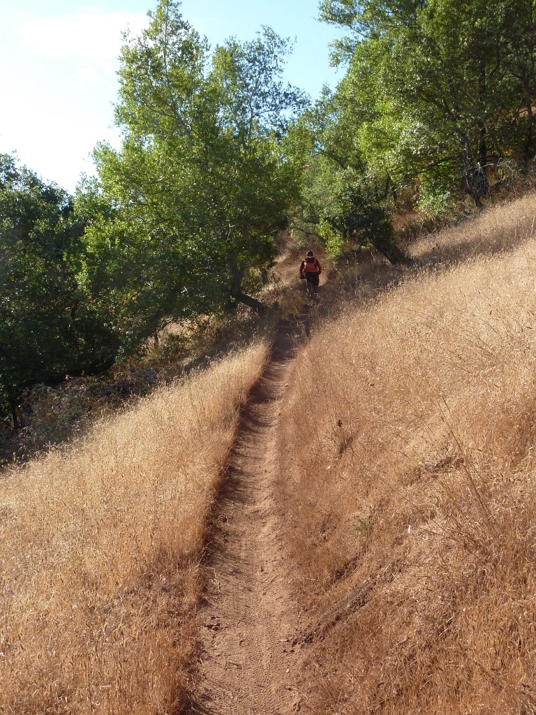 P1030423