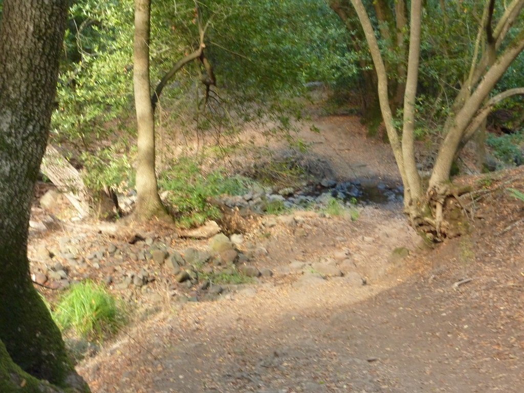 P1030433