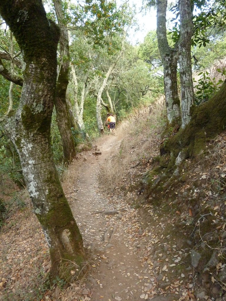 P1030442