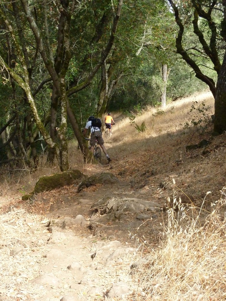 P1030457