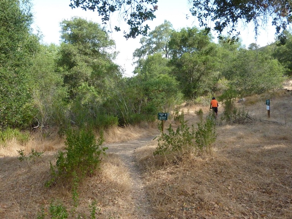 P1030458