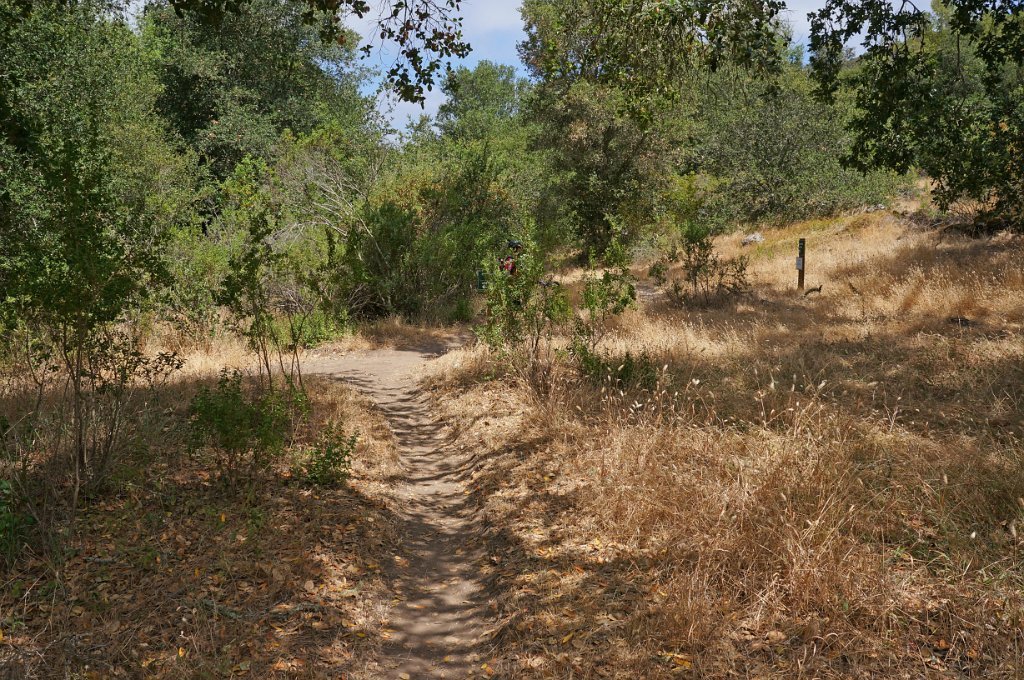 DSC02571