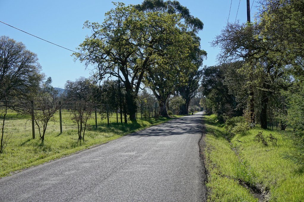 DSC01599