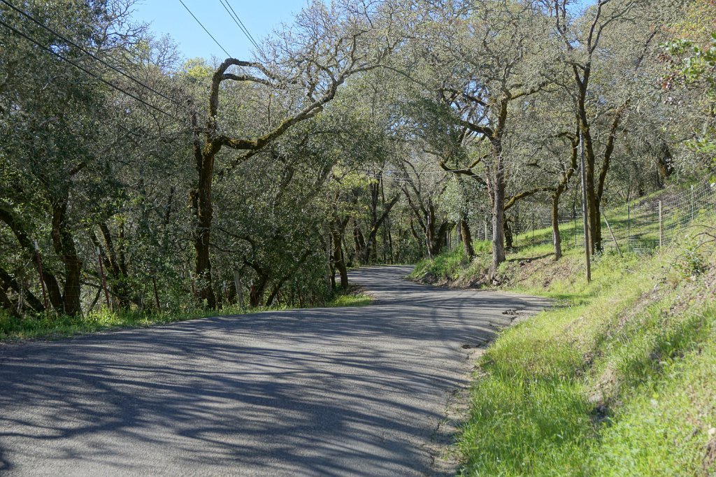 DSC01605