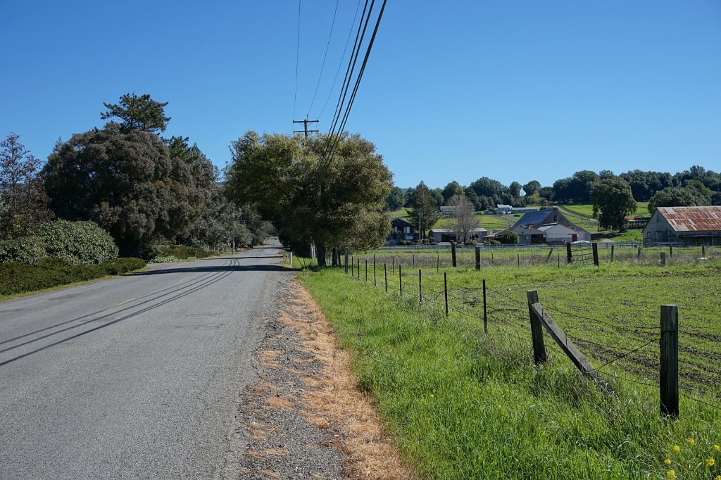 DSC01663