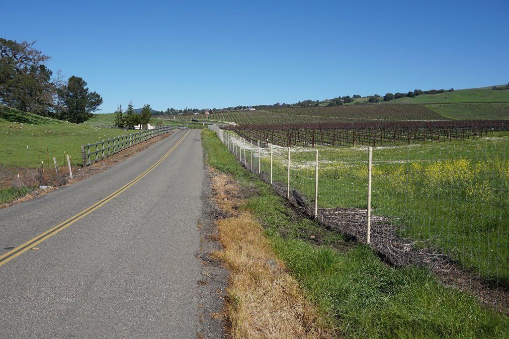 DSC01665