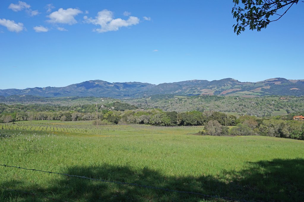 DSC01692