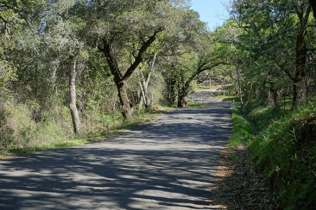 DSC01695