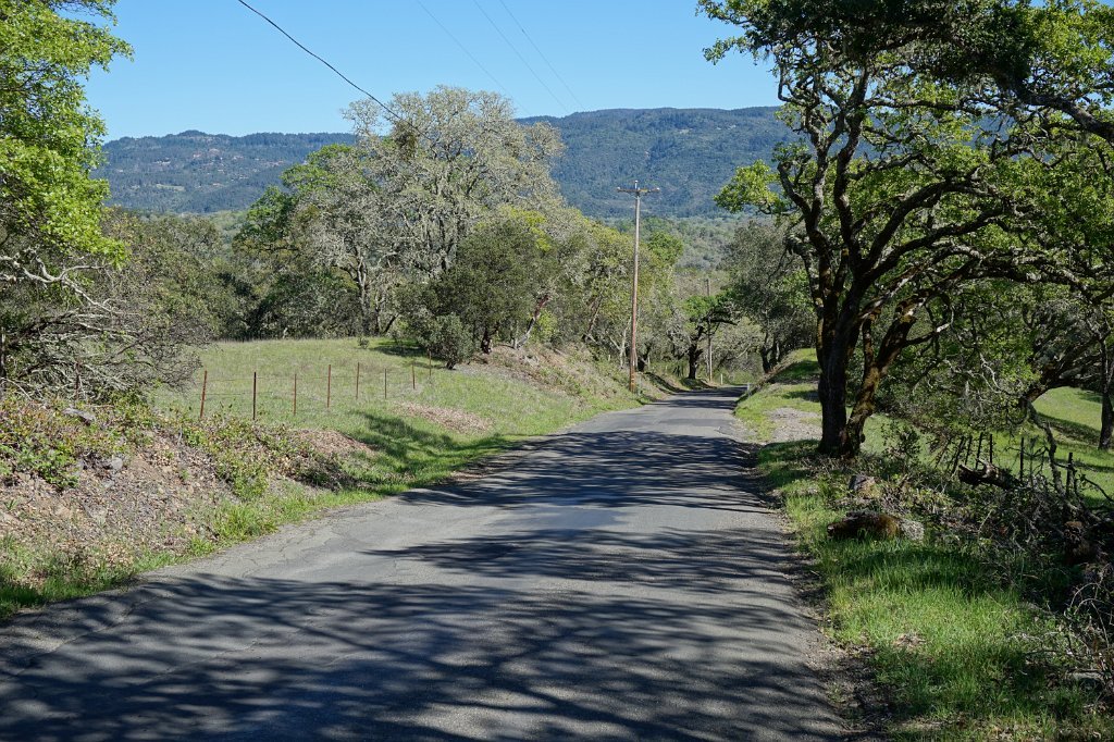 DSC01697