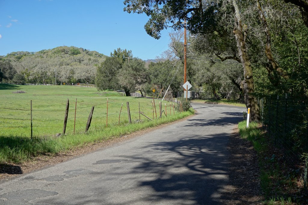 DSC01699