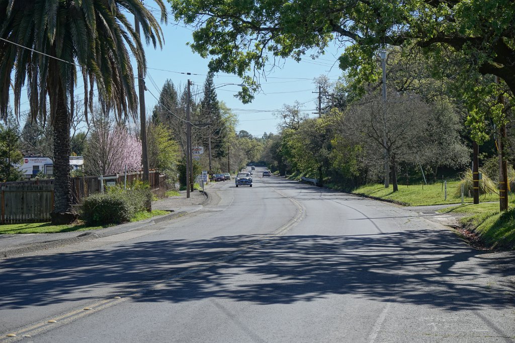 DSC01709