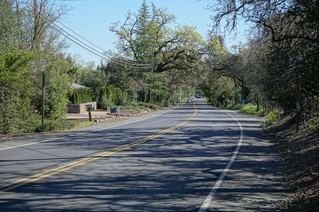 DSC01713