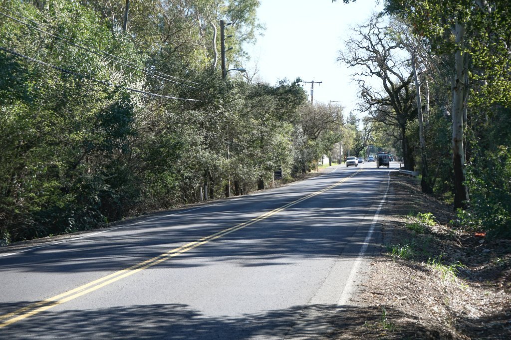 DSC01717