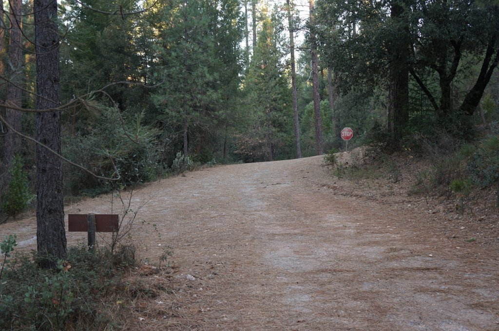 DSC06955