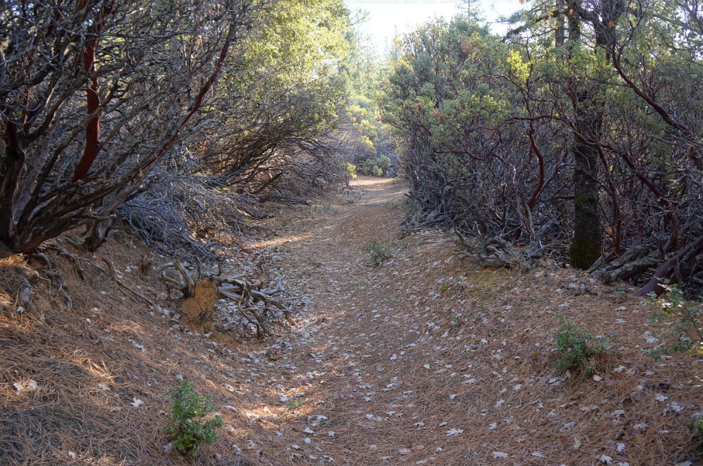 DSC06990