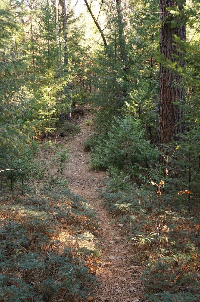 DSC06993