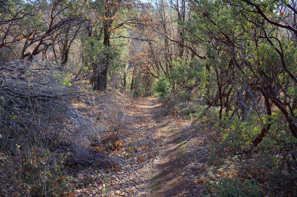 DSC07000