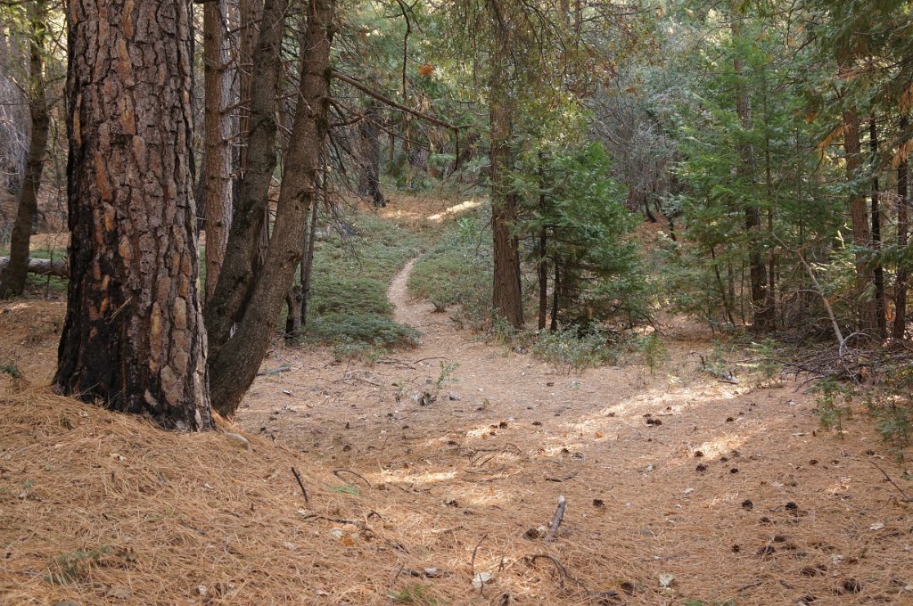 DSC07001