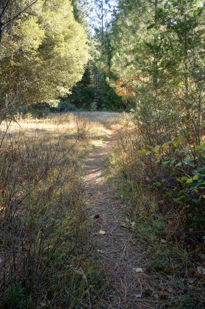 DSC07004