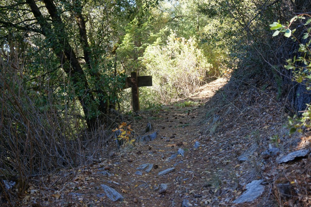 DSC07168