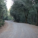DSC06956