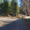 DSC06969