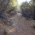 DSC06990