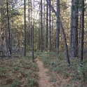 DSC06994