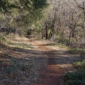 DSC06998