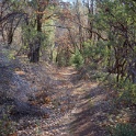 DSC07000