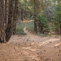 DSC07001
