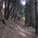 DSC07002