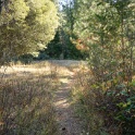 DSC07004