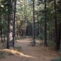 DSC07005