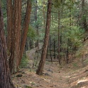 DSC07020