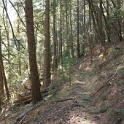 DSC07074