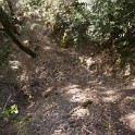 DSC07095