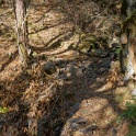 DSC07150