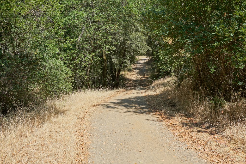 DSC09615