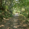 DSC09561