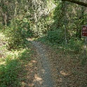 DSC09571