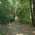 DSC09573