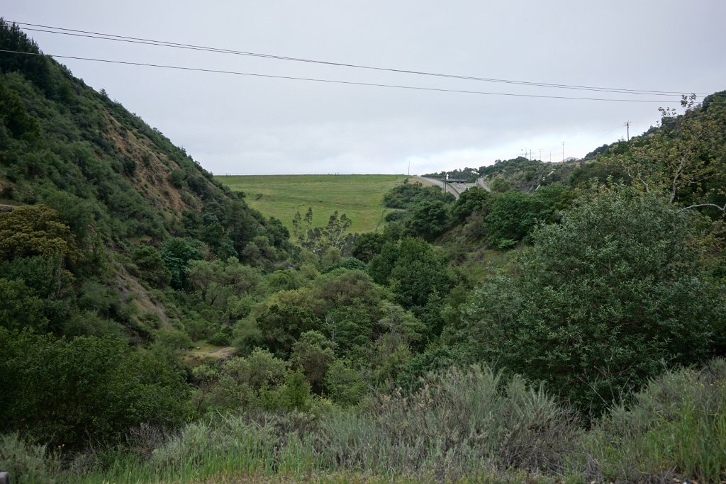 DSC02359