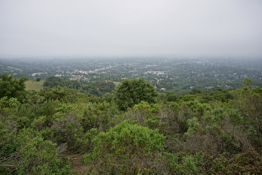 DSC02412
