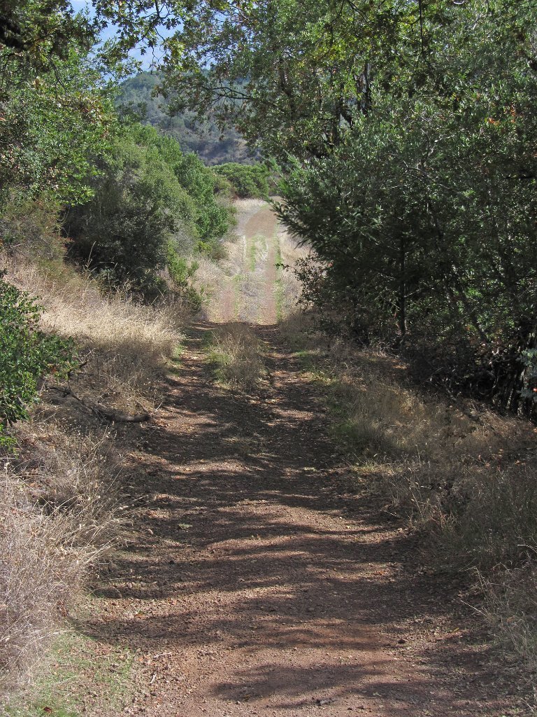 IMG_1905