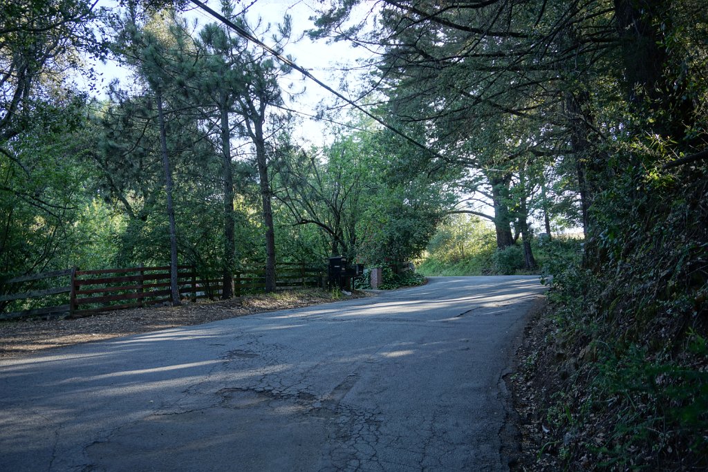 DSC05768