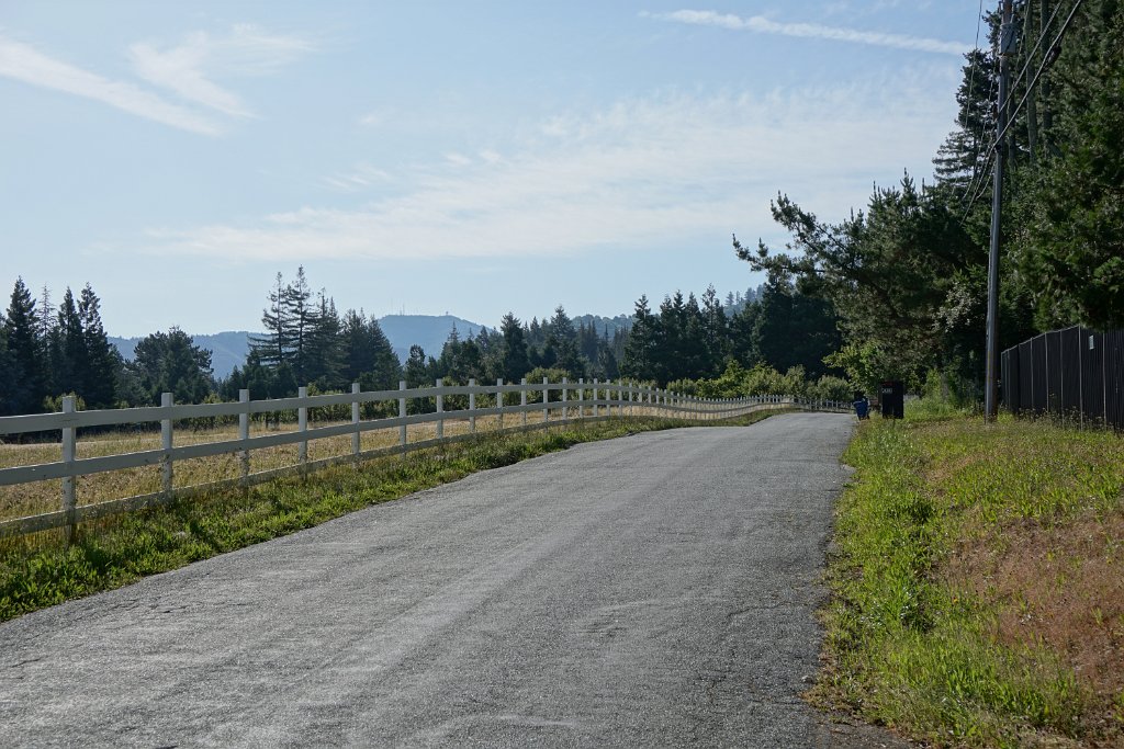 DSC05770