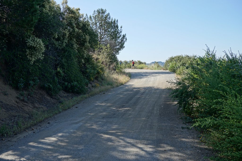 DSC05784