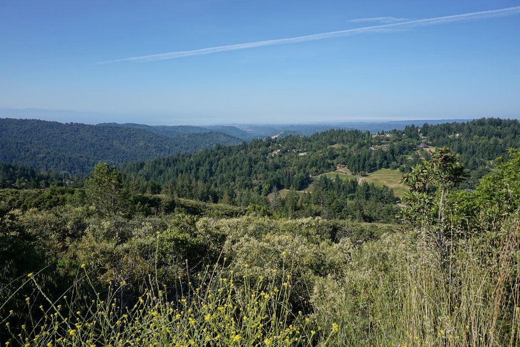 DSC05786