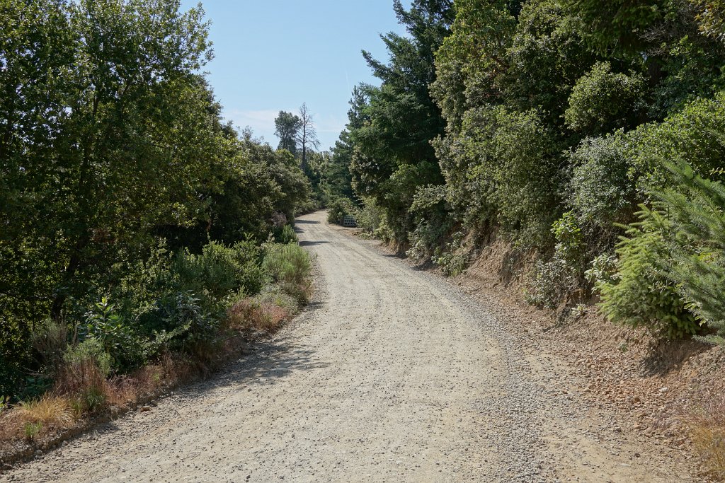 DSC05855